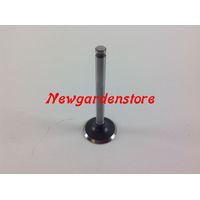 Valvole motore trattorino tagliaerba ORIGINALE KAWASAKI FH531V 12004-7003