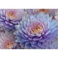 Fototapete Blumen Pfingstrosen Natur – Großformat Wandtapete 300x210 cm – Für Wohnzimmer & Schlafzimmer