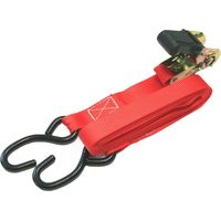 IWH 79423 Cinghia di fissaggio doppia (L x L) 500 cm x 2.5 cm Chiusura a cricchetto