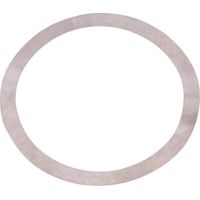 Spessore SPICER DANA 013010323