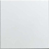 BUSCH-JAEGER ENJOLIVEUR 1576 C DE 914 BLANC ALPIN INTERRUPTEUR INFO LINE COUVERTURE/ÉLÉMENT DE COMMANDE POUR INSTALLATION BUSCH