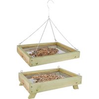 Mangeoire au sol pour oiseaux sauvages