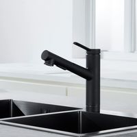 Robinet mitigeur cuisine noir mat avec douchette extractible – 2 modes de jet – rotation à 120° – aérateur Neoperl – cartouche céramique – Faustina