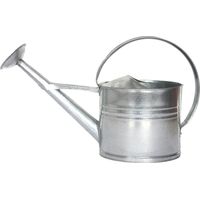 Ac-Deco – Arrosoir en zinc 8L – Pomme d'arrosage amovible – Grande ouverture de remplissage – Pour arrosage précis et efficace