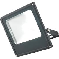 Litecraft Cordelia Floodlight 30W Outdoor IP44 Integrated LED Fitting - Black