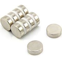 N42 Magneta Neodimio Per Arti, Mestieri, Produzione Di Modelli, Fai -Da -Te, Hobby, Ufficio E Casa - 15mm Dia x 5mm Di Spessore - 5,4kg Di Tiro - Pacco Di 10