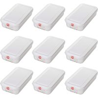 BRB 9 GN-Vorratsdose/Frischhaltebox mit Deckel, LxBxH 325x176x65 mm, Inhalt 2,5 Liter