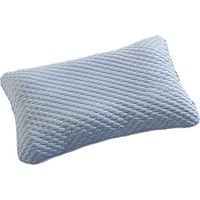 Oreiller en sarrasin naturel, matériau inodore, oreiller anti-affaissement, convient aux personnes dormant sur le côté et sur le ventre, coton respirant amovible, bleu (bt)-AquaForge