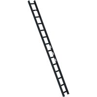 Euroline Premium Kaminkehrerleiter 14 Sprossen RAL7016 Anthrazit