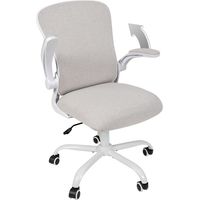 Puluomis Office Chair, Ergonomic Desk Chair, Swivel Chair with Lumbar Support, Flip up Armrests, Beige