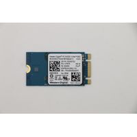 Kit de desarrollo de software Lenovo 1101 256G M.2 PCIe 2242 SS, 01FR578