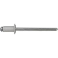 ISO15977 Blindniete Flachrundkopf 4.0x 8 Aluminium mit Stahldorn RAL9010 weiß