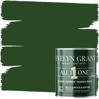 EVELYN GRANT All-IN-ONE Paint & Primer - Multi-Surface Paint For Interior Walls, Outdoor Garden & Exterior Walls, Wood Furniture - High Durability Multi-Feature - Forest Green - 2.5L - Matt