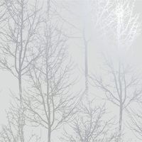 Grey silver Trees Wallpaper Metallic Shine Forest Woods Holden Decor Rhea Zandra