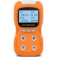 Détecteur de gaz portable multi-moniteur – Écran LCD rétro-éclairé – Alarme sonore, visuelle et vibrante – Capteurs électrochimiques – Imperméable