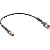 Belden 12018-1 Connettore confezionato per sensore o attuatore M12 Spina dritta, Presa dritta 30.00 cm Numero di poli: