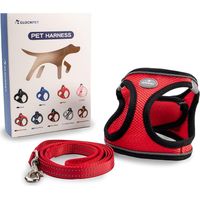 Pettorina per cani di piccola e media taglia con guinzaglio da 1,4 m, antistrappo, riflettente, taglia L, Glückpet
