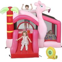 Tobogán hinchable infantil con soplador, cama elástica, piscina de pelotas y canasta de baloncesto 255x230x196cm