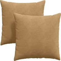 Coussins de canapé 2 pcs Marron 80 x 80 cm
