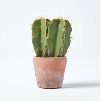 Homescapes Petit cactus artificiel en pot en terracotta, 17 cm