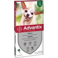 Traitement antiparasitaire Advantix pour chiens de taille XS jusqu'à 4 kg