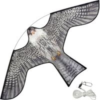 VOUNOT Bird Scarer Hawk Kite, Flying Bird Deterrent Kites, Model A