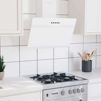 Campana extractora pared acero y vidrio templado blanco 60 cm vidaXL