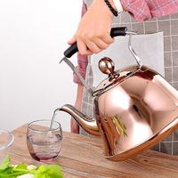 Serbia – Bouilloire sifflante en acier inoxydable 2L – Sifflet anti-brûlure – Compatible cuisinière à gaz et induction – Design ergonomique