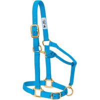1 Licol Cheval Nylon Réglable 2,5cm Matériel Laiton Équitation