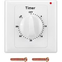 Temporizador de bomba de agua de alto rendimiento de 220 V CA, interruptor de temporizador mecánico con cuenta regresiva electrónica - 30 minutos