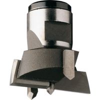 501.550.12 AUSWECHSELBARER HM-BOHRER D=55X30 S=M12X1 LI