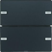 Berker Q.X Tastsensor 2 phases anthracite confort