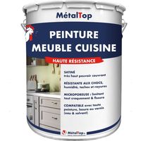 Peinture Meuble Cuisine - Pot 5 L - 1020 - Jaune olive - Metaltop