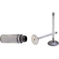 Ventilsatz mit Motorventilführung RUGGERINI RF90 RF120 RF130 RF140 RD210