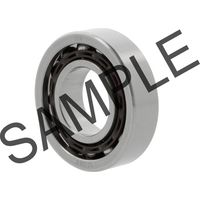 Linear-Kugellager KB40 -PP 40mm AD 62mm B.80mm INA