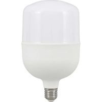 Lampada A Led E27 Globo 28W 2950LM Bianco Freddo 6500K 102X160mm
