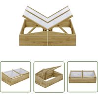 Lot de 2 Serres de Jardin Serre Tunnel de Jardin - Serre pour Plantes Bois de pin imprégné 100x50x35 cm BV296814 - BonneVie