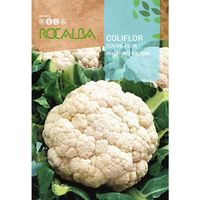 Rokalba Caciflor Seed Frankfurter Riesen 100g