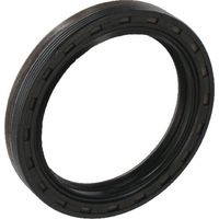 Kurbelwellendichtring 55x72x10 LOMBARDINI 1213388