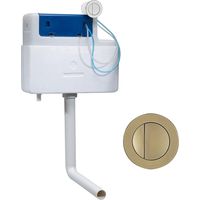 Roper Rhodes Torrent Concealed Dual Flush BTW + TR9034 Round Brushed Brass