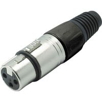 XLR femelle, droit Kash 55022-S Nombre de pôles: 3 noir 1 pc(s)
