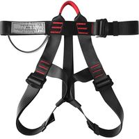 Harness - Full Body Climbing Harness - EN 361 Certified - Adjustable Waist and Leg Straps - for Mountaineering Tree Climbing Fire Rescue Work at Height - 1 Piece