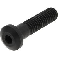 Klemmkappen-Schraube TOOLS SPSCR15