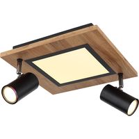 Deckenleuchte - natürlich schwarz - Ulla - metall - LED - 67306D