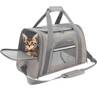 Vicmhuang – Sac de transport pour chat – Tissu Oxford imperméable – Dimensions 43x25x28cm – Pour animaux jusqu'à 15 livres – Confort et sécurité en voyage