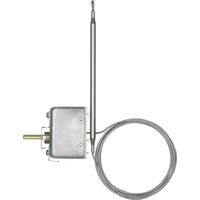 Jumo 60002085 Déclencheur thermique 20 à 500 °C R569851