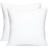 Pillow Inserts, Decorative Throw Pillow Inserts, Pillow Form Insert Indoor Couch Pillows for Sofa, Bed (2, 12X20 in) -16X16 INCH 2