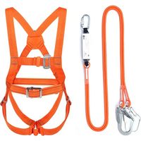 Ceinture de sécurité à double corde sur toute la longueur, ceinture de sécurité de 3 m de long avec grand crochet, ceinture de sécurité à cinq points