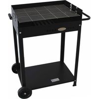 Barbecue Torino in lamiera 60x40 altezza 90 con ruote IMOR080120