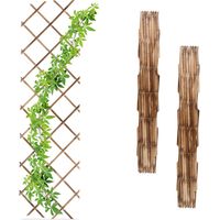 Extendable Wall Plant Trellis Set of 3, 180x60 cm